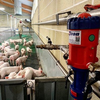 自动加药器在猪场的应用
